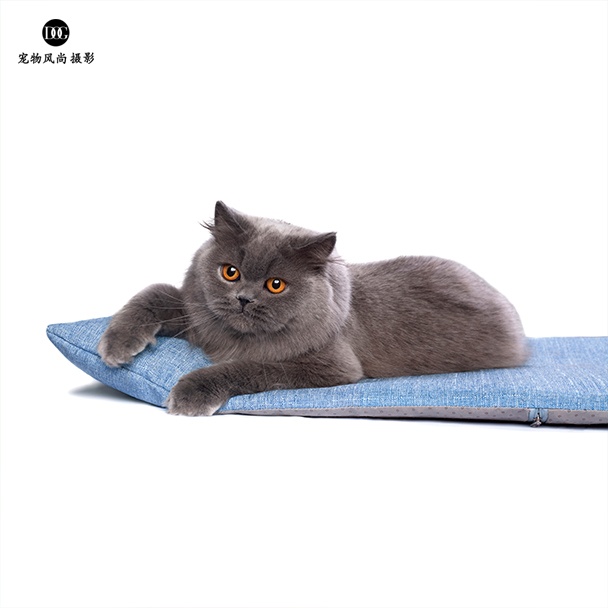 猫狗睡垫