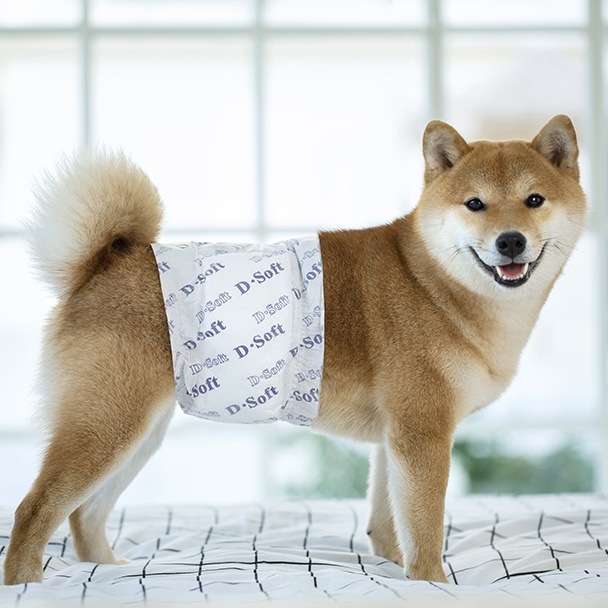 纸尿裤